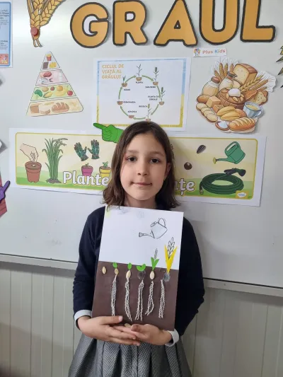 Descoperim primăvara: plante, insecte și semințe puse în pământ — fotografie 29