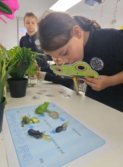 Descoperim primăvara: plante, insecte și semințe puse în pământ — fotografie 34
