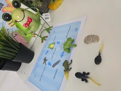 Descoperim primăvara: plante, insecte și semințe puse în pământ — fotografie 42