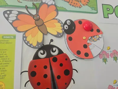 Descoperim primăvara: plante, insecte și semințe puse în pământ — fotografie 48