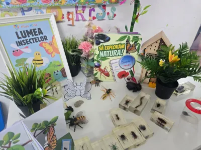 Descoperim primăvara: plante, insecte și semințe puse în pământ — fotografie 69