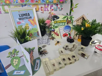 Descoperim primăvara: plante, insecte și semințe puse în pământ — fotografie 70