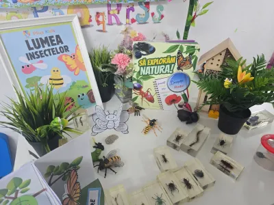 Descoperim primăvara: plante, insecte și semințe puse în pământ — fotografie 72