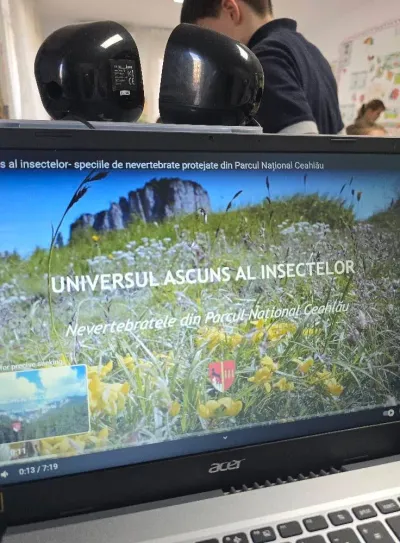 Descoperim primăvara: plante, insecte și semințe puse în pământ — fotografie 73