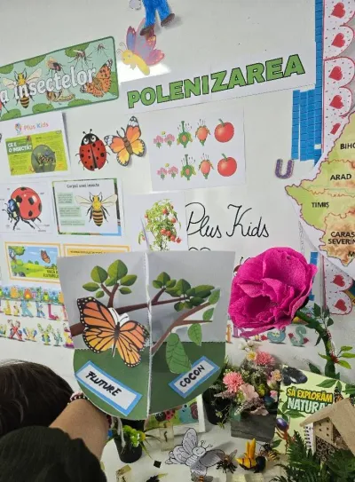 Descoperim primăvara: plante, insecte și semințe puse în pământ — fotografie 77