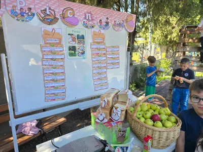Minecraft week: logic, strategy and a picnic to finish — photo 30