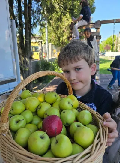 Minecraft week: logic, strategy and a picnic to finish — photo 32