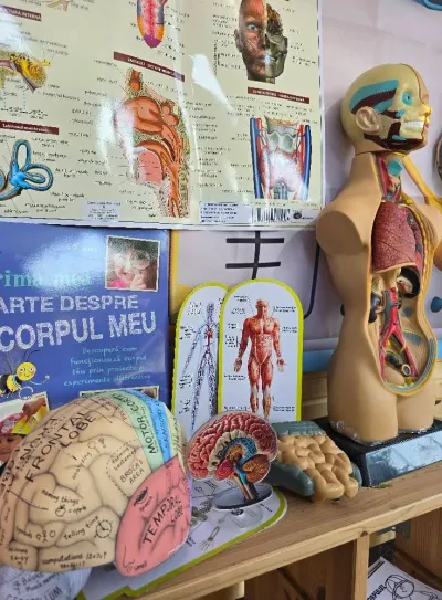 A journey inside the human body — photo 7