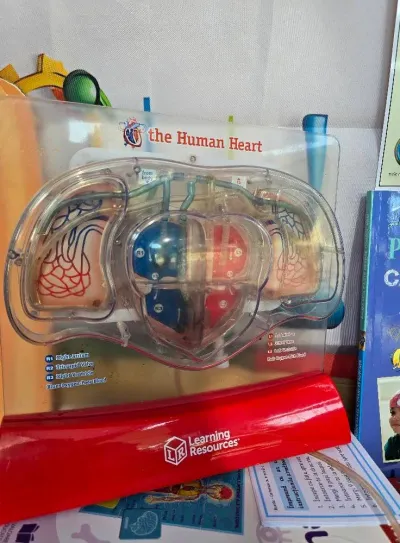 A journey inside the human body — photo 13