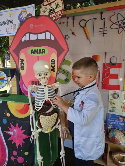A journey inside the human body — photo 38