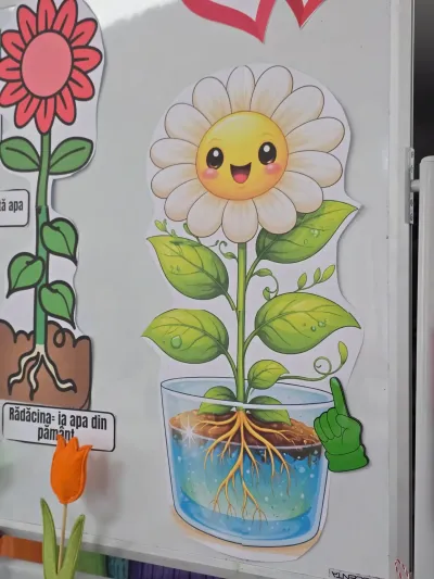 The magic flowers workshop: an experiment with coloured water — photo 24