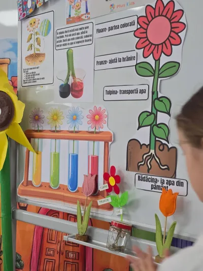 The magic flowers workshop: an experiment with coloured water — photo 25