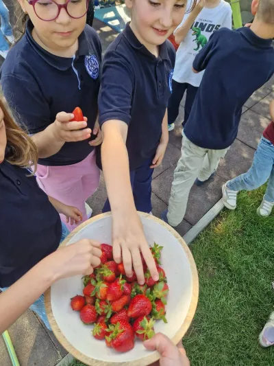 Căpșuni, silabe și figuri geometrice într-o săptămână de activități integrate — fotografie 15