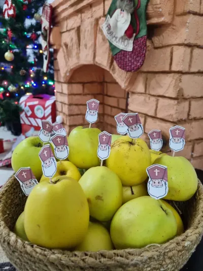 What great joy: Saint Nicholas has come — photo 2
