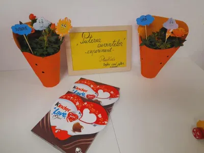 On Valentine's Day we learned to be heroes against bullying — photo 1