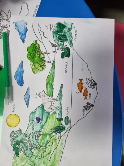 Green Week: an ecosystem built inside a plastic bottle — photo 4