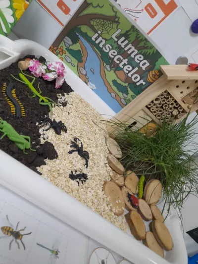 Lumea insectelor, privită cu lupa: furnicile și mușuroiul lor — fotografie 1
