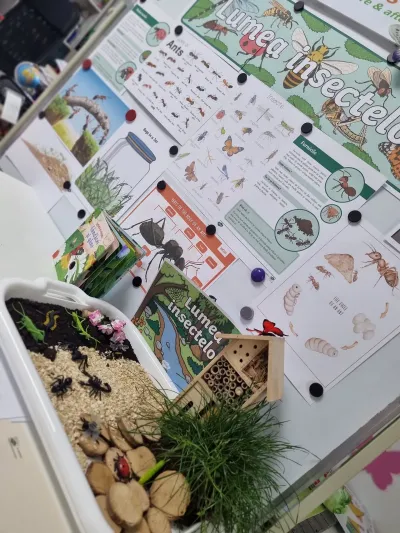 Lumea insectelor, privită cu lupa: furnicile și mușuroiul lor — fotografie 2