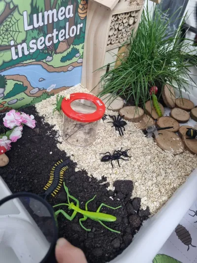 Lumea insectelor, privită cu lupa: furnicile și mușuroiul lor — fotografie 8