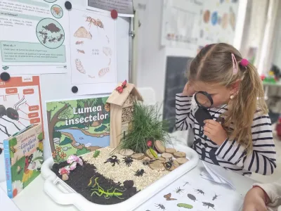 Lumea insectelor, privită cu lupa: furnicile și mușuroiul lor — fotografie 12