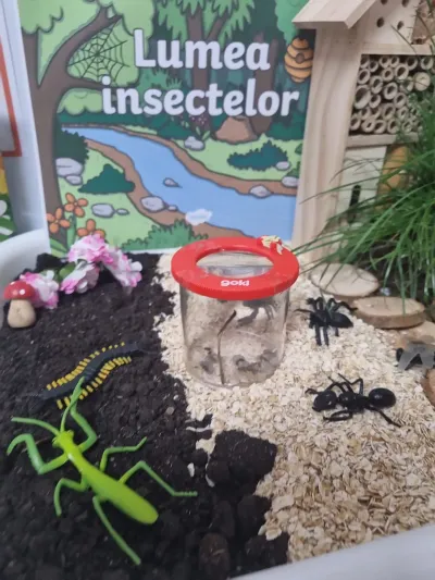Lumea insectelor, privită cu lupa: furnicile și mușuroiul lor — fotografie 13