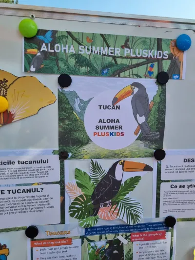 Aloha Summer: the first holiday week, with dancing and teamwork — photo 8