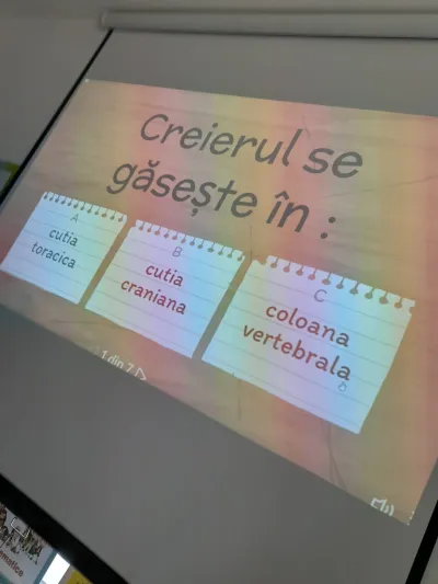 Cine sunt eu? O săptămână despre inimă, oase și creier — fotografie 12