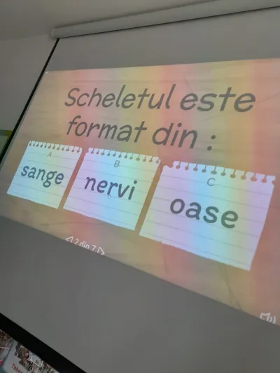 Cine sunt eu? O săptămână despre inimă, oase și creier — fotografie 13