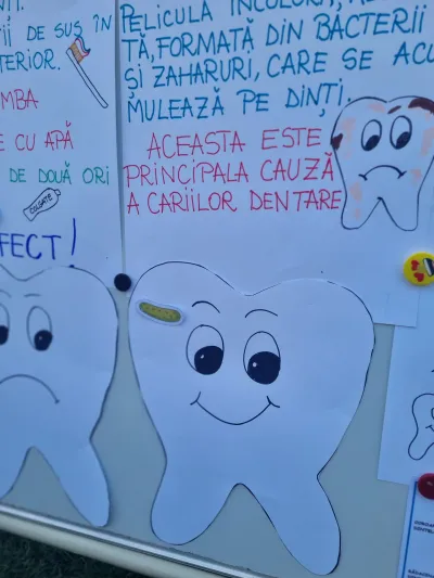 Cine sunt eu? O săptămână despre inimă, oase și creier — fotografie 32