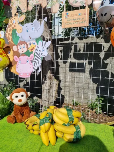 Wonderful nature: landforms, animals, plants and Navy Day — photo 1