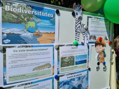 Wonderful nature: landforms, animals, plants and Navy Day — photo 10