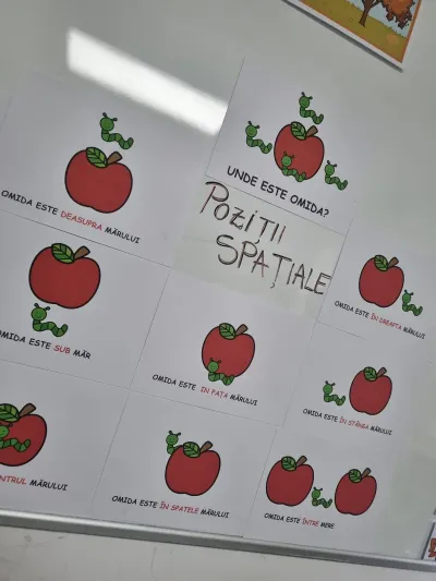 Explorare matematică: pozițiile spațiale — fotografie 12