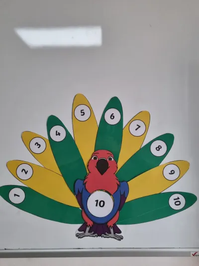 Papagalul Polly ne-a arătat că matematica poate fi distractivă — fotografie 1