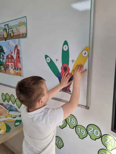 Papagalul Polly ne-a arătat că matematica poate fi distractivă — fotografie 2