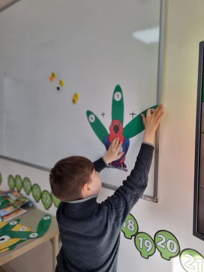 Papagalul Polly ne-a arătat că matematica poate fi distractivă — fotografie 3