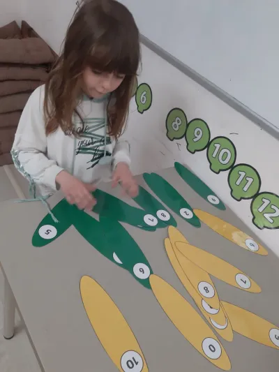Papagalul Polly ne-a arătat că matematica poate fi distractivă — fotografie 6
