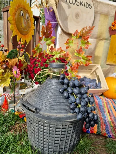 Festivalul Recoltei: o salată de fructe din bogățiile toamnei — fotografie 2
