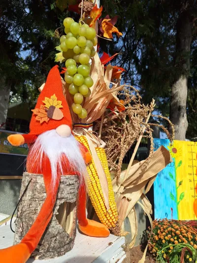 Festivalul Recoltei: o salată de fructe din bogățiile toamnei — fotografie 7