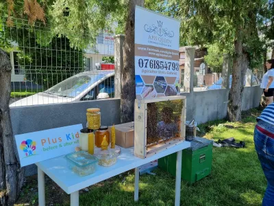 Albinele au venit la Școala de Vară: faguri, ceară și un trântor în palmă — fotografie 6