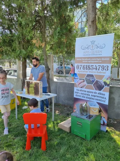 Albinele au venit la Școala de Vară: faguri, ceară și un trântor în palmă — fotografie 13