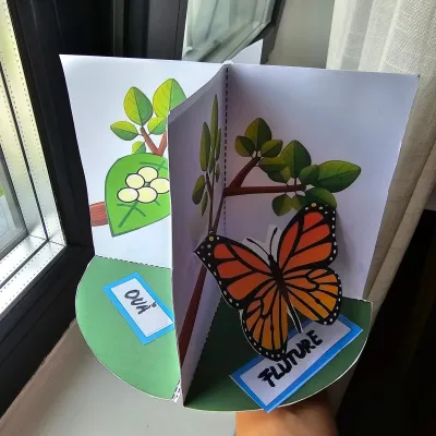 Activities during the holiday week — photo 31