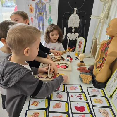„Sâmbăta Părinților”: opt ore de timp liber și corpul uman — fotografie 4