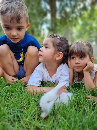 Săptămâna 7: la fermă, exact ca la țară la bunici — fotografie 20
