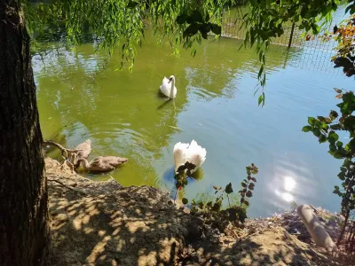 A trip to the Animal Farm — photo 8