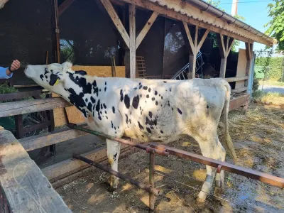 A trip to the Animal Farm — photo 9