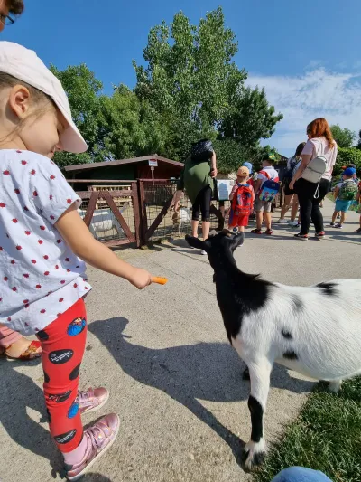 A trip to the Animal Farm — photo 12