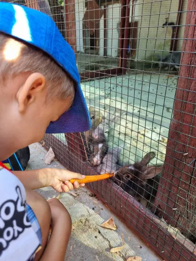 A trip to the Animal Farm — photo 15