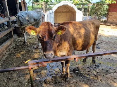 A trip to the Animal Farm — photo 18