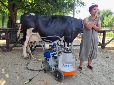 A trip to the Animal Farm — photo 19