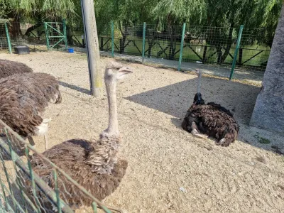 A trip to the Animal Farm — photo 20